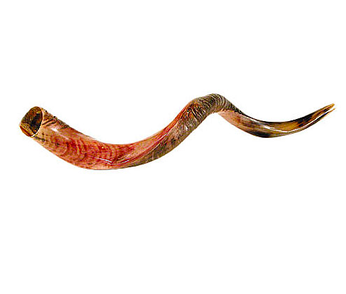 yemenite shofar