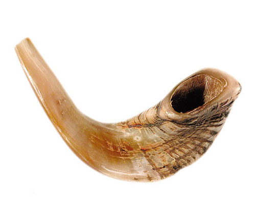 rams horn shofar