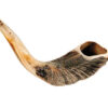 rams horn shofar