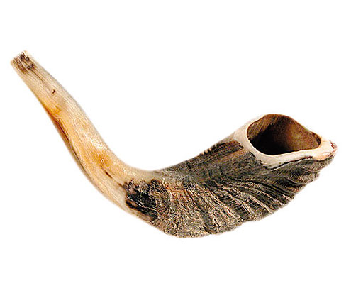 rams horn shofar