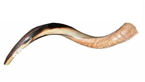 yemenite shofar