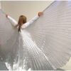angel wings