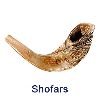 a rams horn shofar