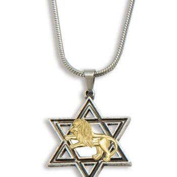 Star with Lion overlay Necklace