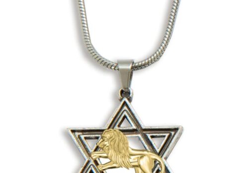 Star with Lion overlay Necklace Star with Lion overlay Necklace
