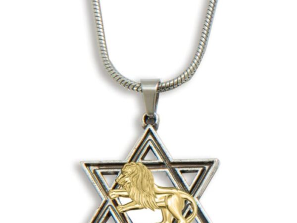 Star with Lion overlay Necklace