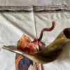 Combo Deal - Blow The Shofar In Zion Tallit & 11"-13" Rams Horn Shofar