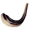 Combo Deal - Blow The Shofar In Zion Tallit & 11"-13" Rams Horn Shofar - Image 6